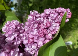 img_8378